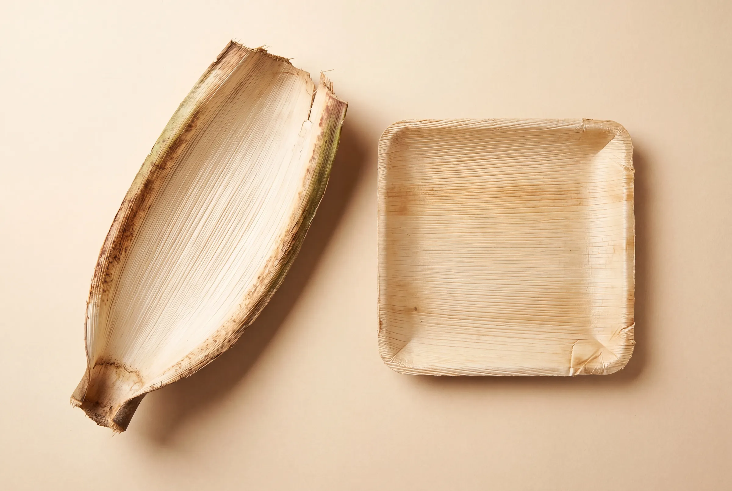 A fallen areca sheath beside a finished square plate