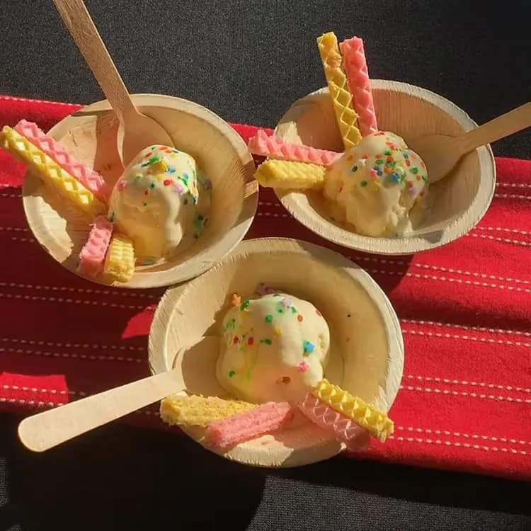 Ice cream in Satva Veg Bowls